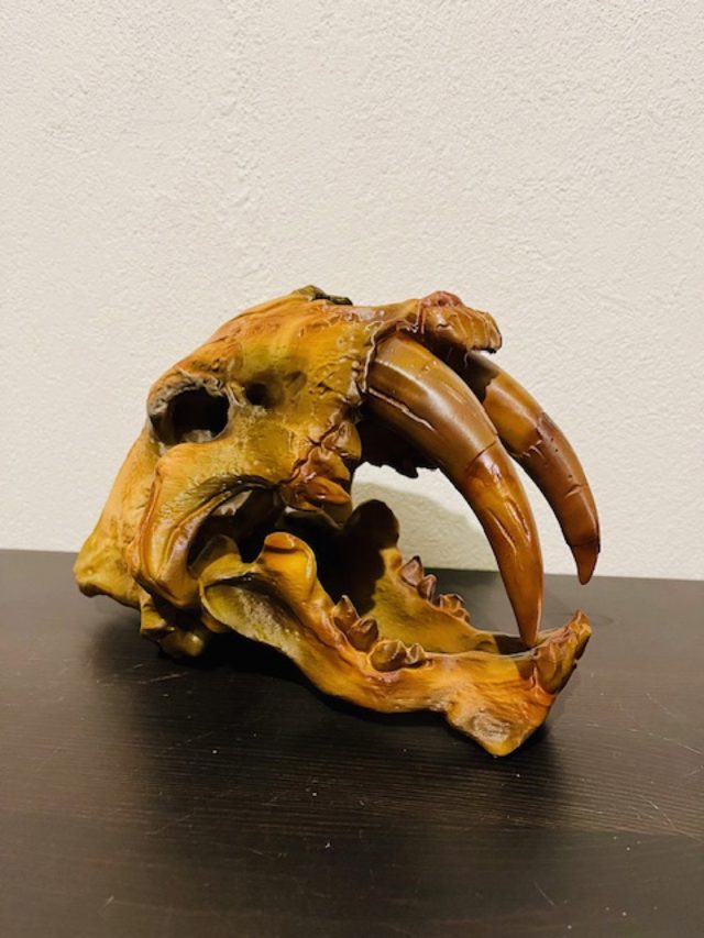 3D-Druck